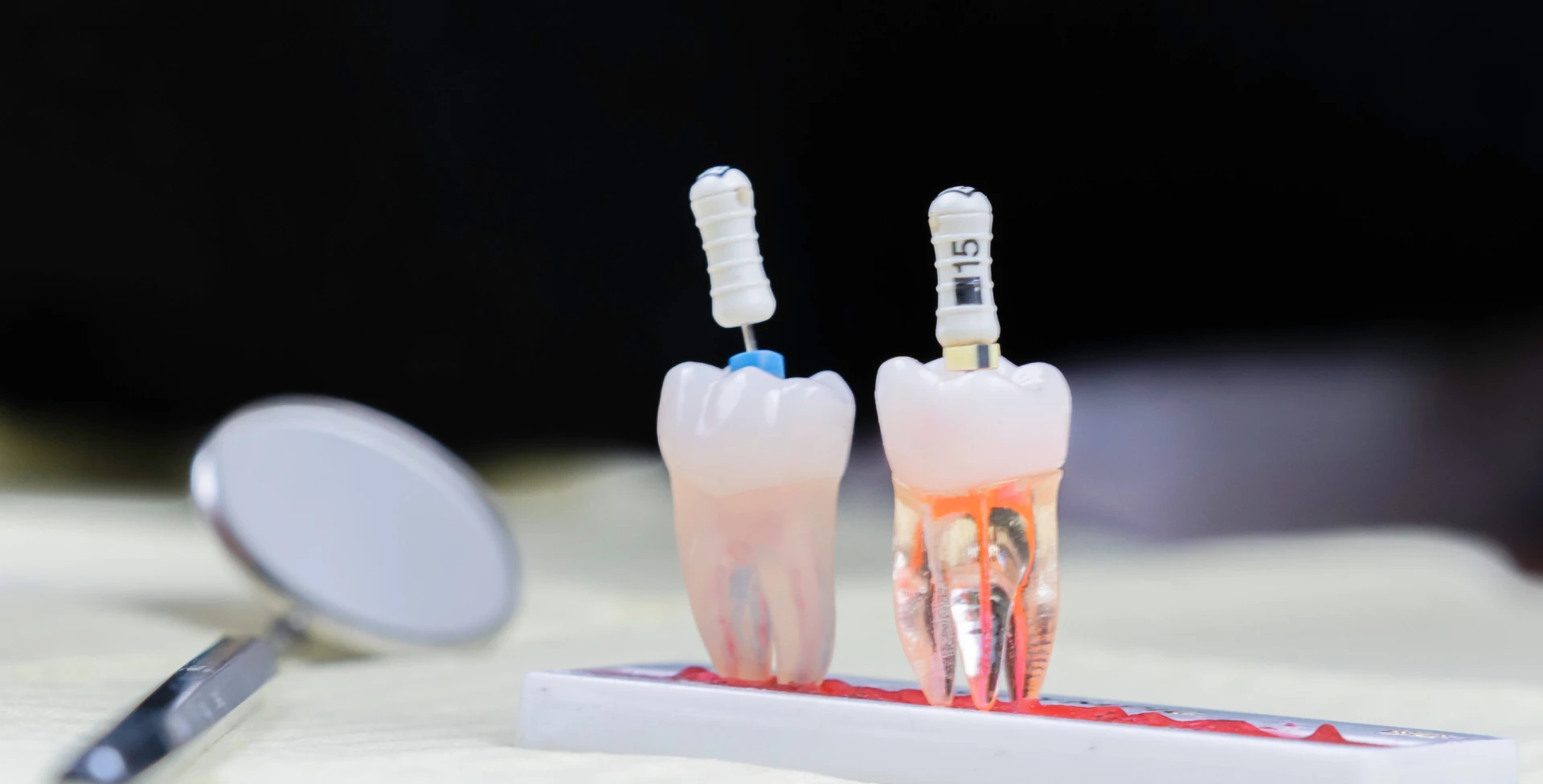 Endodontie